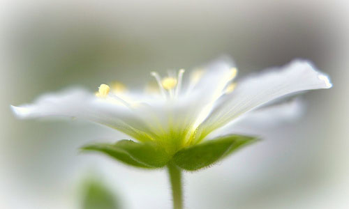 十大外围足球平台app