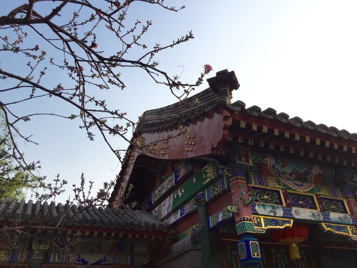 十大外围足球平台app手机版