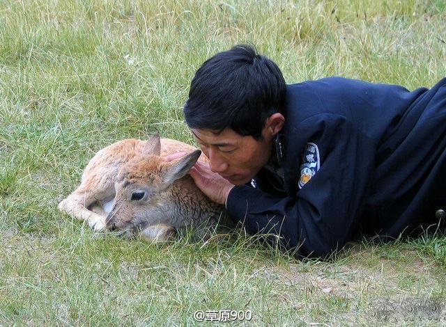 十大外围足球大平台