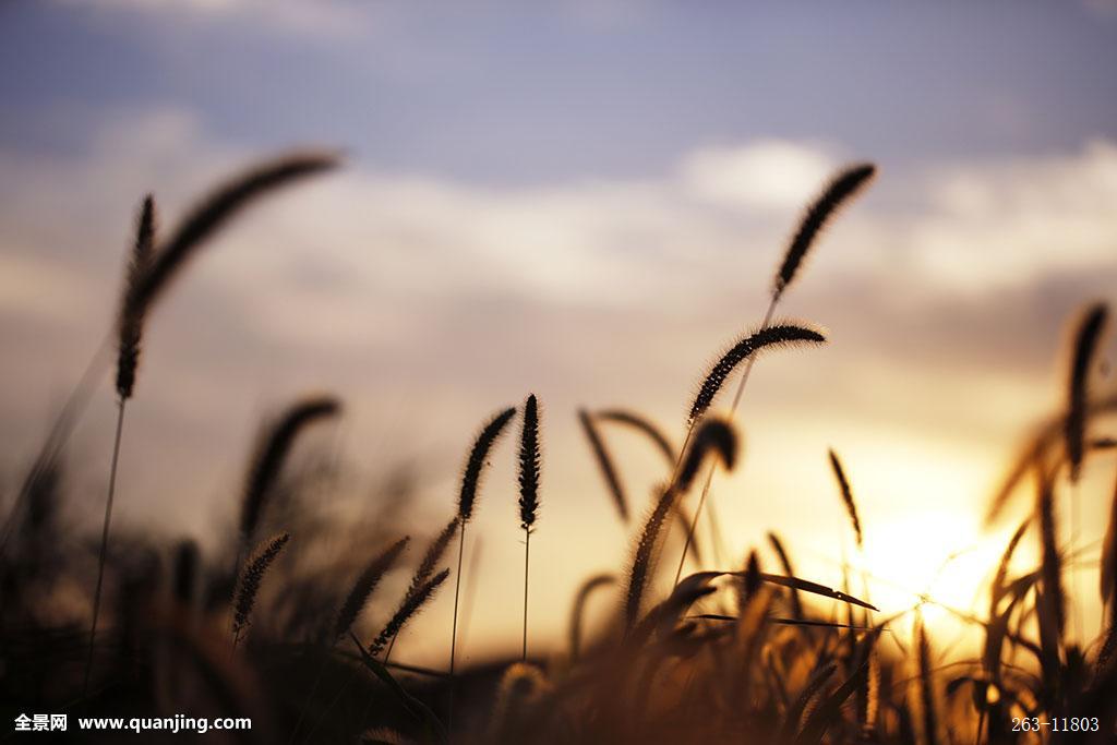 十大外围足球平台app