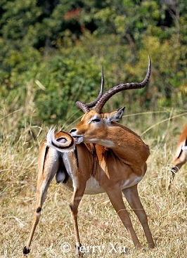 十大外围足球大平台