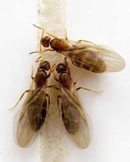 十大外围足球平台app