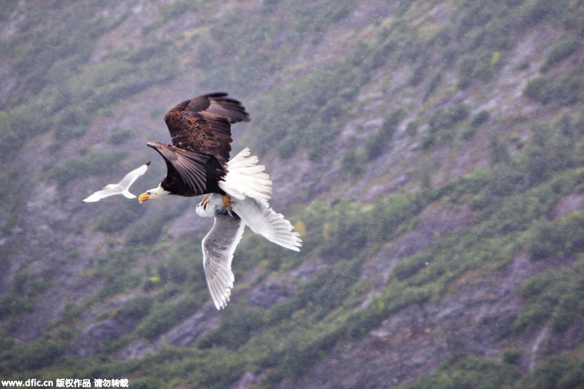 “十大外围足球平台app”中国制造业的发展瓶颈与改进问题探究(图3) 十大外围足球大平台