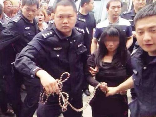 李坚院士为2017级新生作报告【十大外围足球平台app手机版】(图4) 十大外围足球平台app手机版