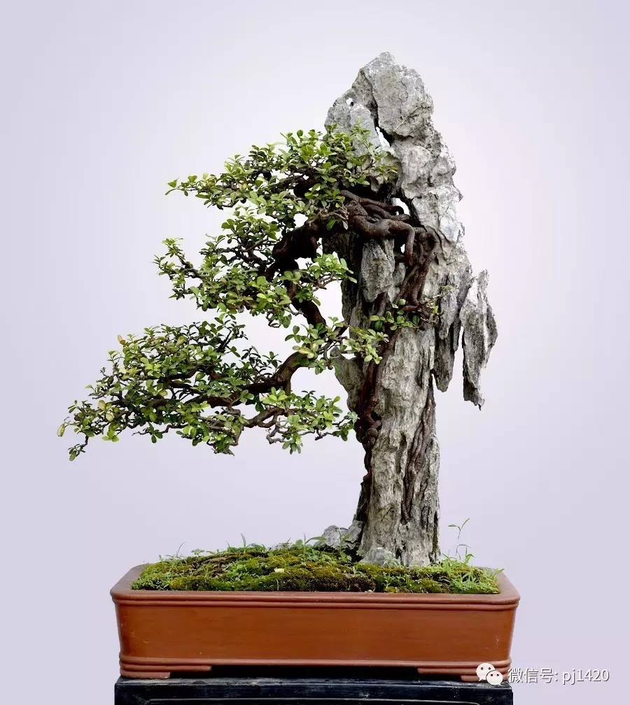 十大外围足球平台app