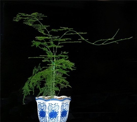 十大外围足球大平台