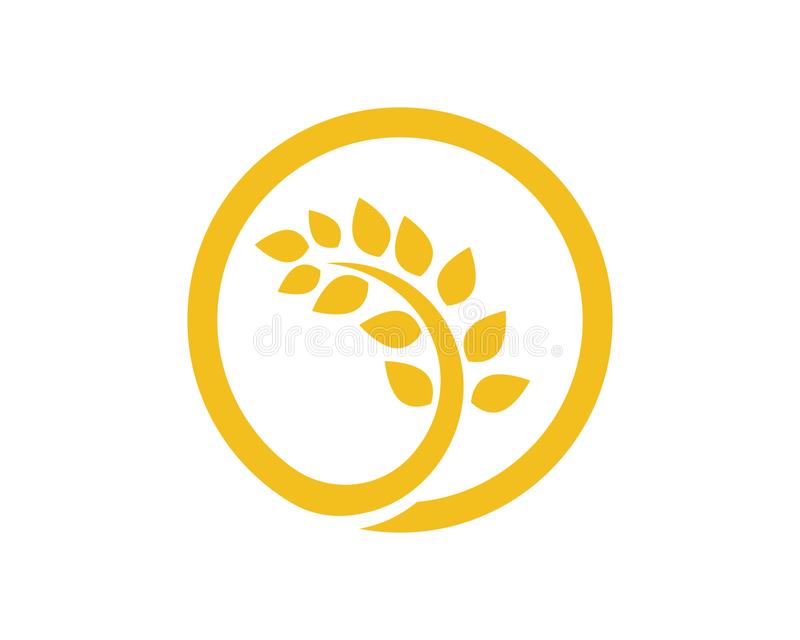 十大外围足球大平台