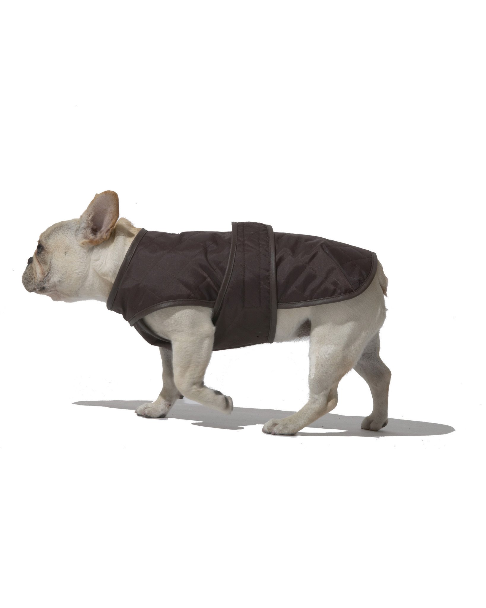 十大外围足球平台app