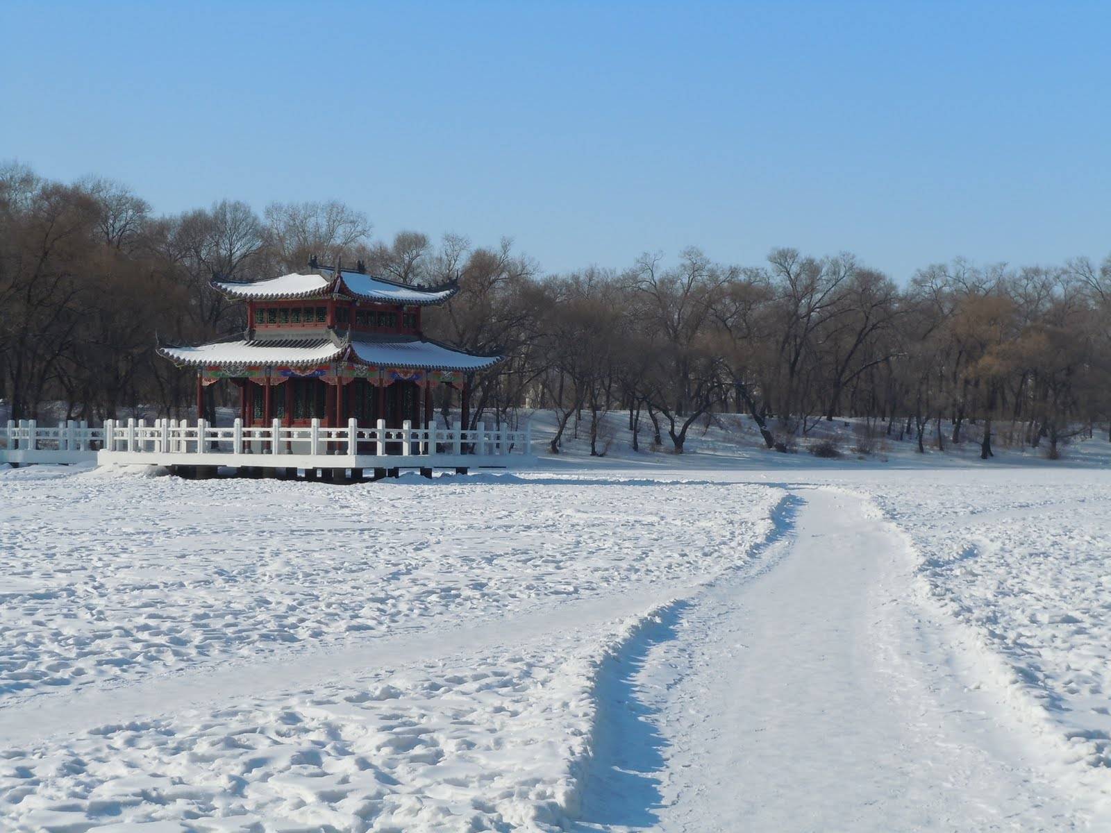 
黑龙江第三大都会角逐：齐齐哈尔、绥化和牡丹江 谁会更胜一筹？‘十大外围足球平台app手机版’(图5)