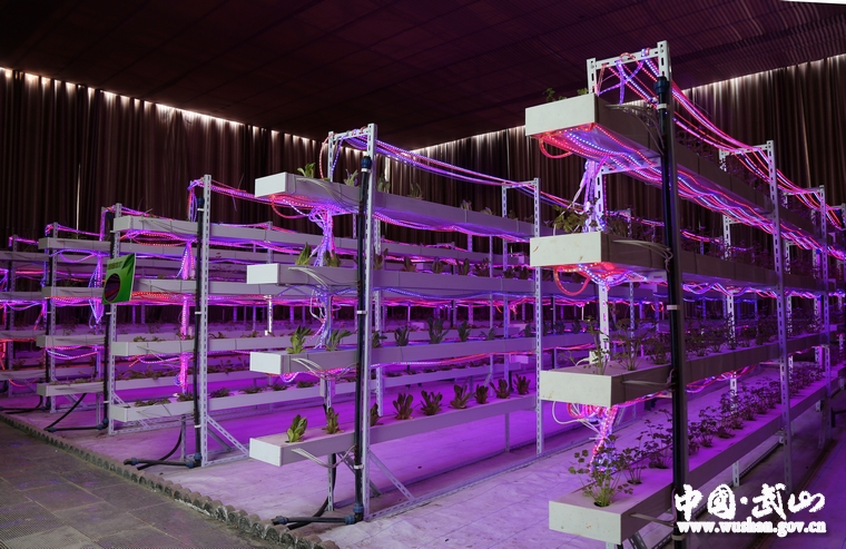 十大外围足球平台app手机版