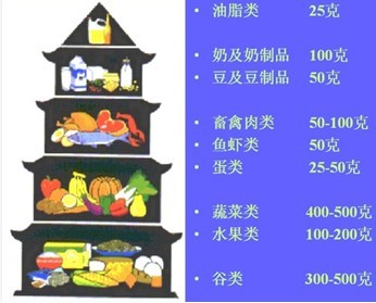 十大外围足球平台app|甘肃省治理沙化土地超500万公顷(图1) 十大外围足球平台app手机版