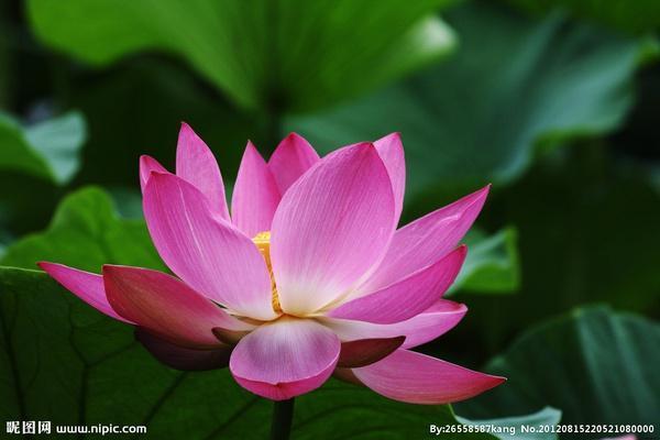 十大外围足球平台app手机版