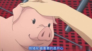 十大外围足球平台app