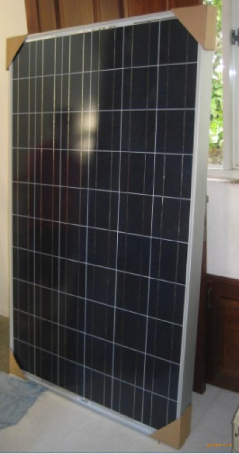 我校校友孙述涛当选为山东省人民政府副省长|十大外围足球平台app(图2) 十大外围足球平台app手机版