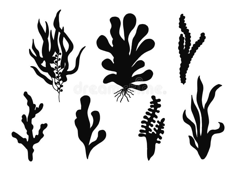 十大外围足球平台app