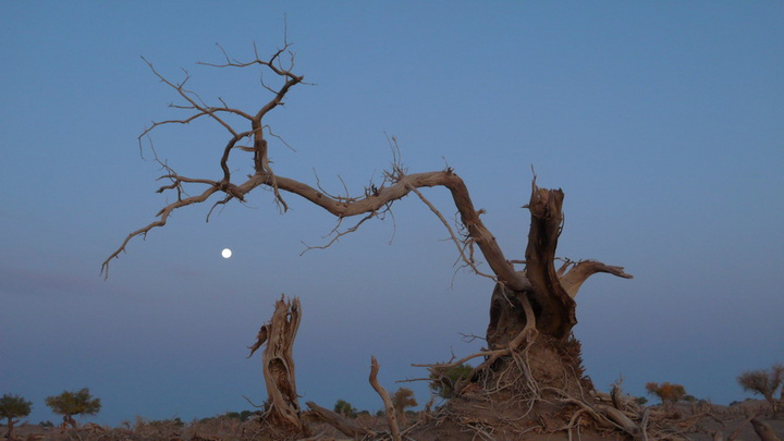 十大外围足球大平台