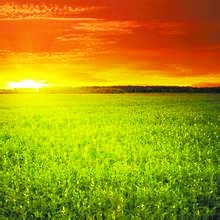 十大外围足球平台app