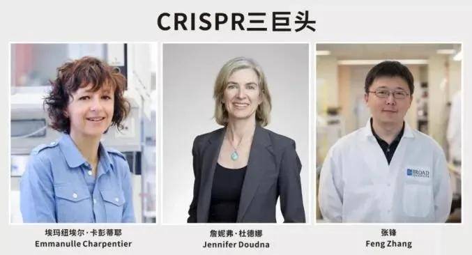 Discovery vs. Development:从诺奖看论文首发权的重要性-十大外围足球平台app(图3)
Discovery vs. Development:从诺奖看论文首发权的重要性-十大外围足球平台app(图3)
