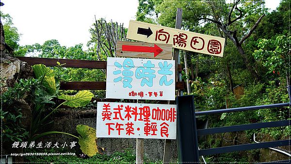 我校召开国际教育发展研讨会“十大外围足球平台app”(图2) 十大外围足球平台app