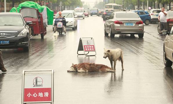 论生态城市建设与经济协调发展:十大外围足球平台app(图1) 十大外围足球大平台